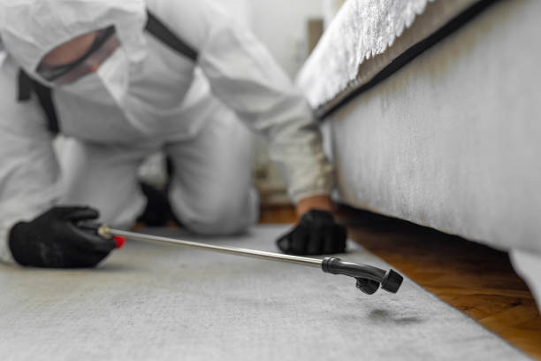 Professional Termite Control technician working in Lavallette, NJ