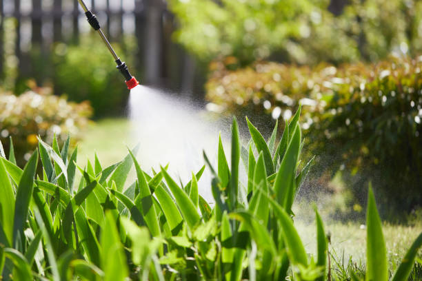 24/7 Emergency Termite Control experts in Lavallette, NJ
